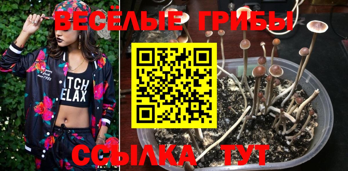 Семёнов  как найти наркотики  Вход с VPN  Псилоцибиновые грибы Cubensis 